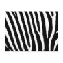 Black & White Zebra Stripes Post Card