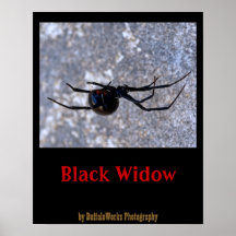 Black Widow 296 Print