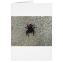 Black Widow Greeting Card