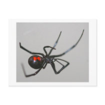 Black Widow Postcard