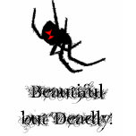 Black widow spider-beautiful but deadly t-shirts