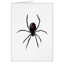 Black WIdow Spider Card