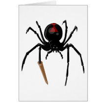 black widow spider cards