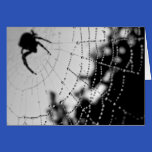 black widow spider: Happy Halloween cards