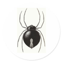 Black Widow Spider -- Original Artwork Round Sticker