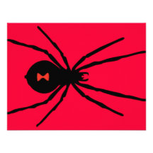 Black Widow Spider Personalized Announcements