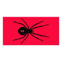 Black Widow Spider Photo Greeting Card