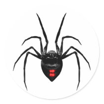 Black Widow Spider Stickers