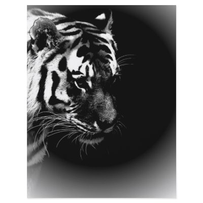 Black & Wild Tiger Head Flyers by made_in_atlantis