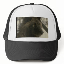 Black Wolf Mesh Hat