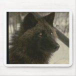 Black Wolf mousepads
