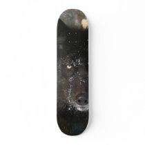 Black Wolf Skateboard Decks