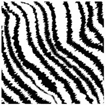 Black Zebra Print Pattern. Cut Out