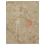 Blackbeard Map #1 Flyers