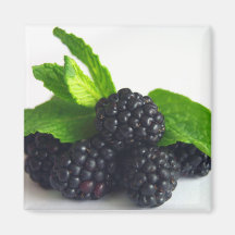 Blackberries and Mint Refrigerator Magnet