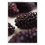 Blackberries cards