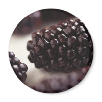 Blackberries Refrigerator Magnet