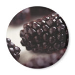 Blackberries magnets