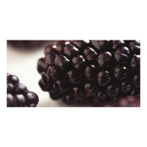 Blackberries Picture Card