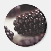 Blackberries Refrigerator Magnet
