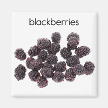 Blackberries Refrigerator Magnet