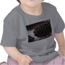 Blackberries Tshirts
