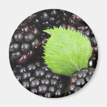 BlackBerry Background Refrigerator Magnet