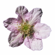 Blackberry flower ~ acrylic cut out