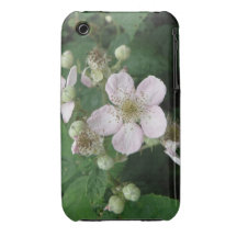 Blackberry Flowers iPhone Case iPhone 3 Case