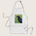 Blackbird aprons