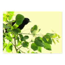 Blackbird ATC Business Card Template