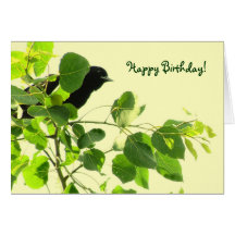 Blackbird Birthday Card
