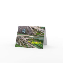 Blackbird Blue Cards