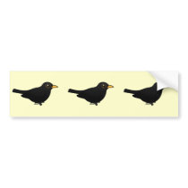 Blackbird