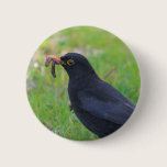 Blackbird buttons