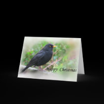 Blackbird, Happy Christmas Card, cards