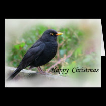 Blackbird, Happy Christmas Card, cards