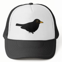 Blackbird