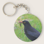 Blackbird keychains