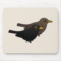 Blackbird Pair