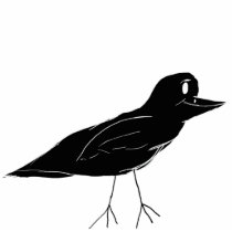 Blackbird Photo Sculpture