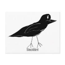 Blackbird Postcard (White)