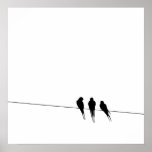 Blackbirds Silhouette on Wire Posters