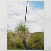 Blackboy tree with dried flower spike personalized flyer