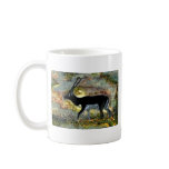 Blackbuck Antelope from Junglewalk mugs