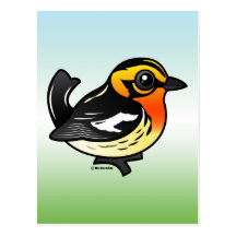 Blackburnian Warbler Post Cards