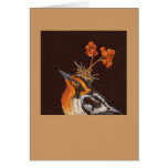 blackburnian warbler  with pyracantha card