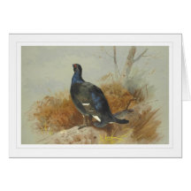 Blackcock Greeting Card