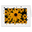 Blackeye Susan card