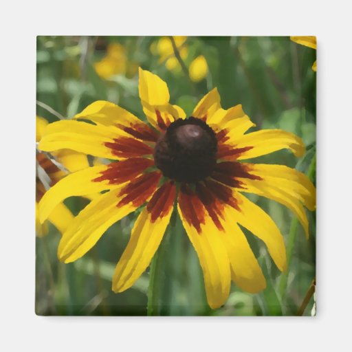 Blackeyed Susan Magnet
